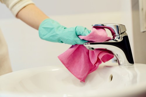 Professional oven cleaning service in an Earlscourt kitchen