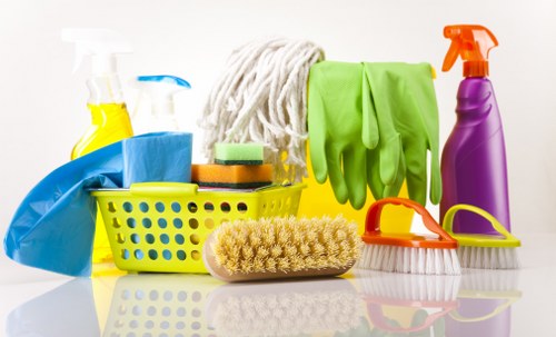 Professional steam carpet cleaning for an Earlscourt home interior