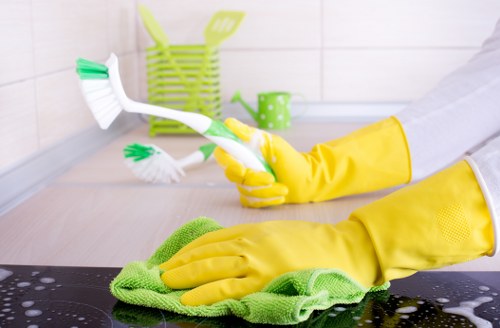 Spot cleaning and stain removal on fabric furnishings in Earlscourt