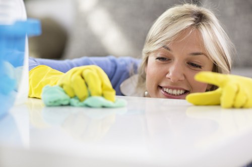 Residential and commercial move out cleaning service in Earlscourt