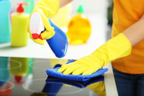 Cleaning service for apartments and businesses in Earlscourt