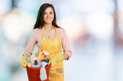 Professional Earlscourt carpet cleaning for busy rooms