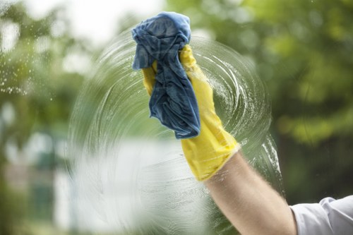 Detailed bathroom deep cleaning in Earlscourt