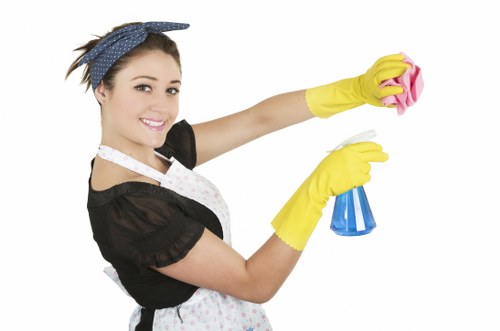 Local Earlscourt cleaners working in a residential home