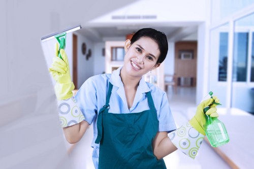 Carpet stain treatment and fibre care in Earlscourt