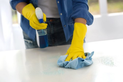 Hard floor maintenance for a busy Earlscourt residential property