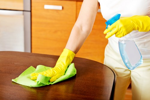 Final detail cleaning after renovation in an Earlscourt property